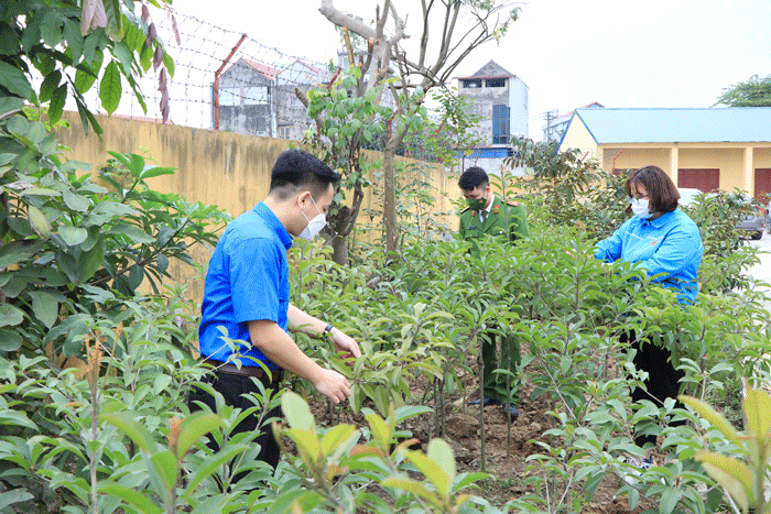 Chuẩn bị làm cây giống rau màu phần 1 #15 Chuẩn bị làm cây giống rau màu phần 1
